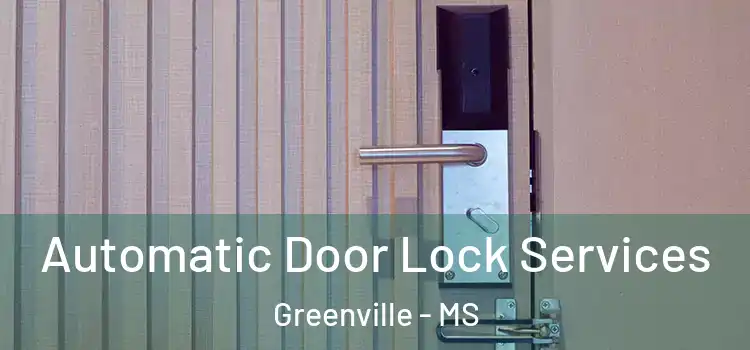 Automatic Door Lock Services Greenville - MS