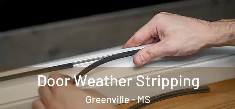 Door Weather Stripping Greenville - MS