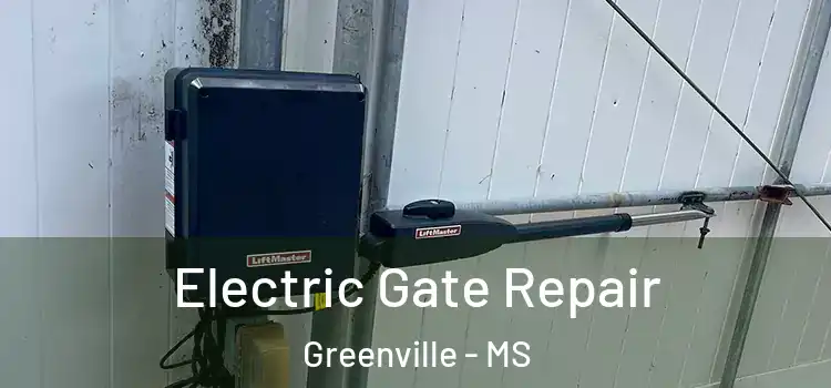 Electric Gate Repair Greenville - MS