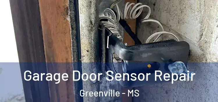 Garage Door Sensor Repair Greenville - MS