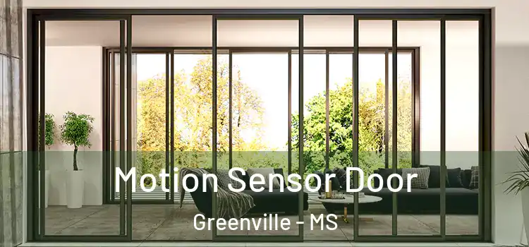 Motion Sensor Door Greenville - MS